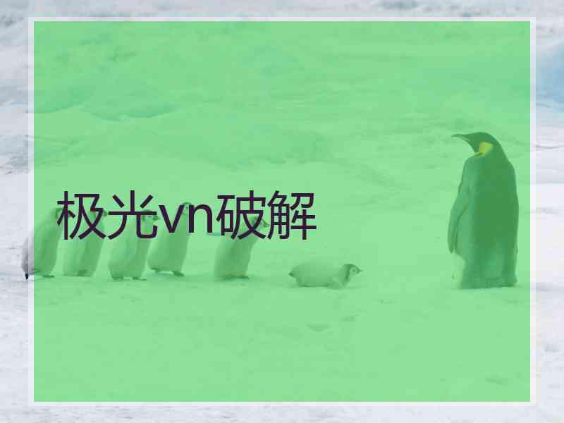 极光vn破解