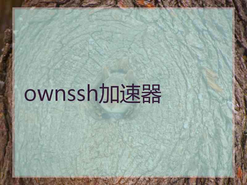 ownssh加速器