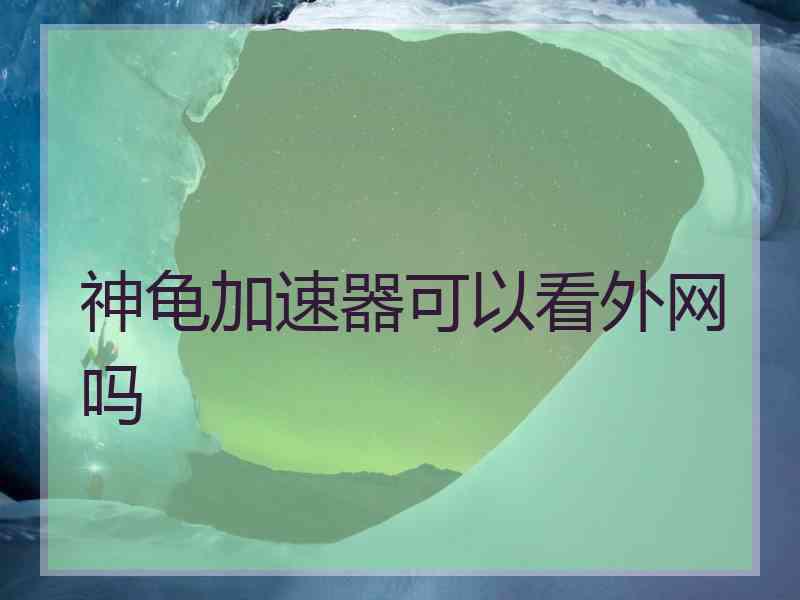 神龟加速器可以看外网吗