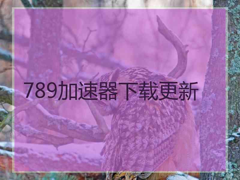 789加速器下载更新