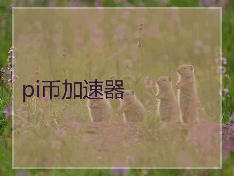 pi币加速器