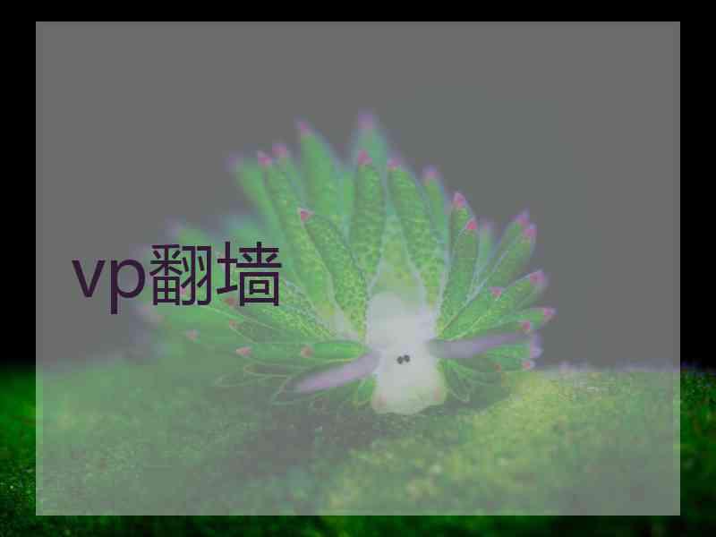 vp翻墙