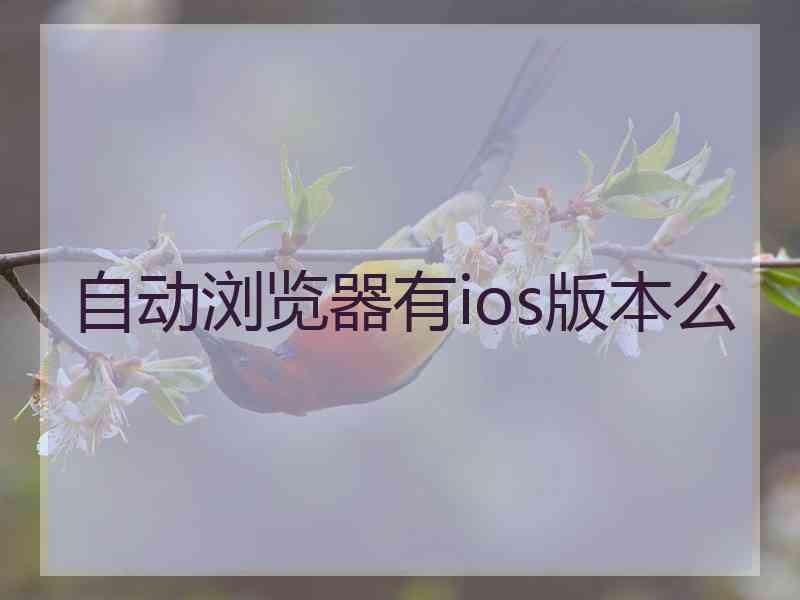 自动浏览器有ios版本么