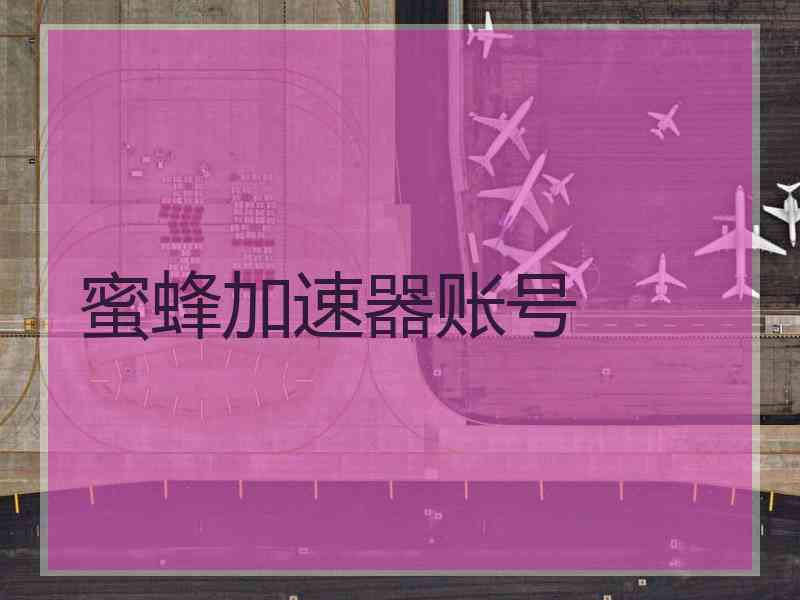 蜜蜂加速器账号