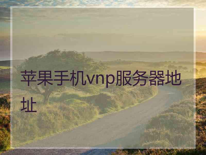 苹果手机vnp服务器地址