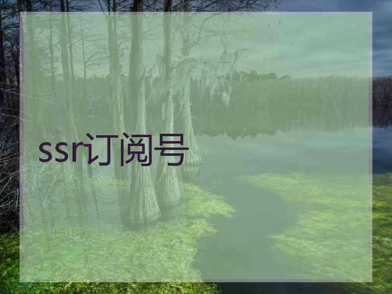 ssr订阅号