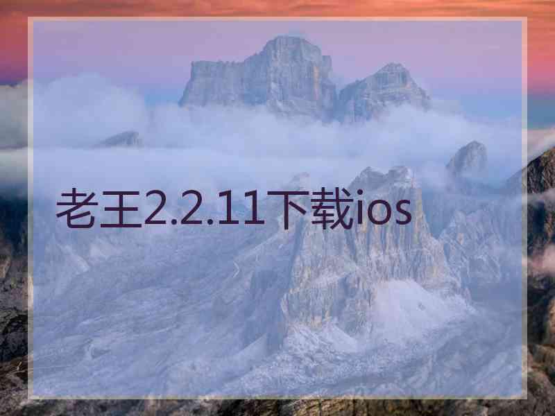 老王2.2.11下载ios