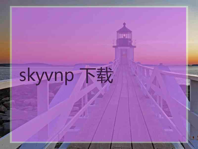 skyvnp 下载
