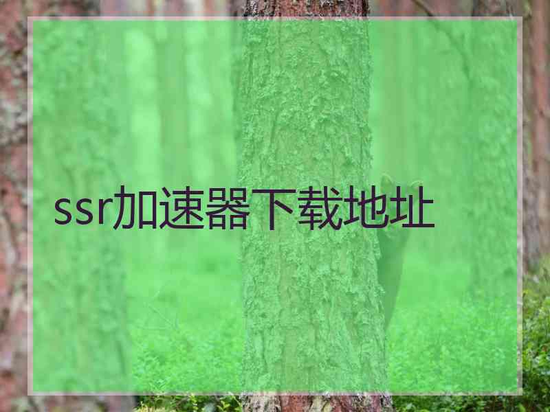 ssr加速器下载地址
