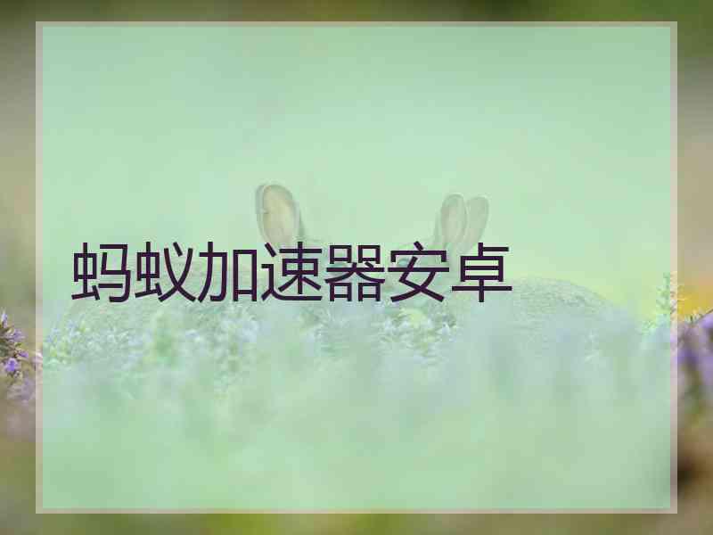 蚂蚁加速器安卓