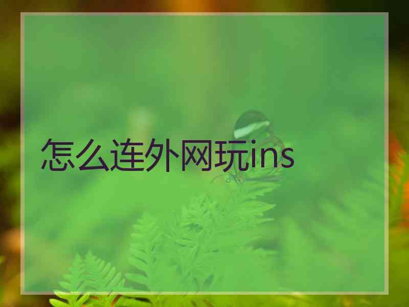 怎么连外网玩ins