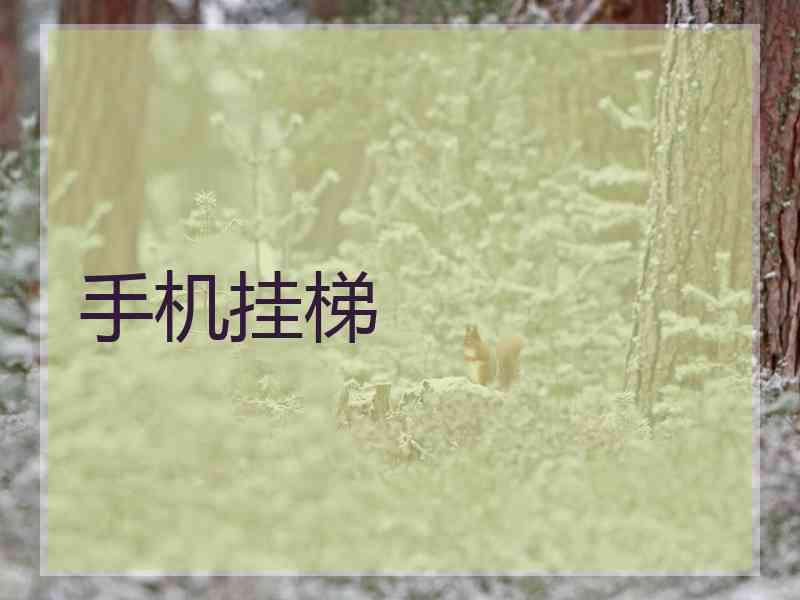 手机挂梯