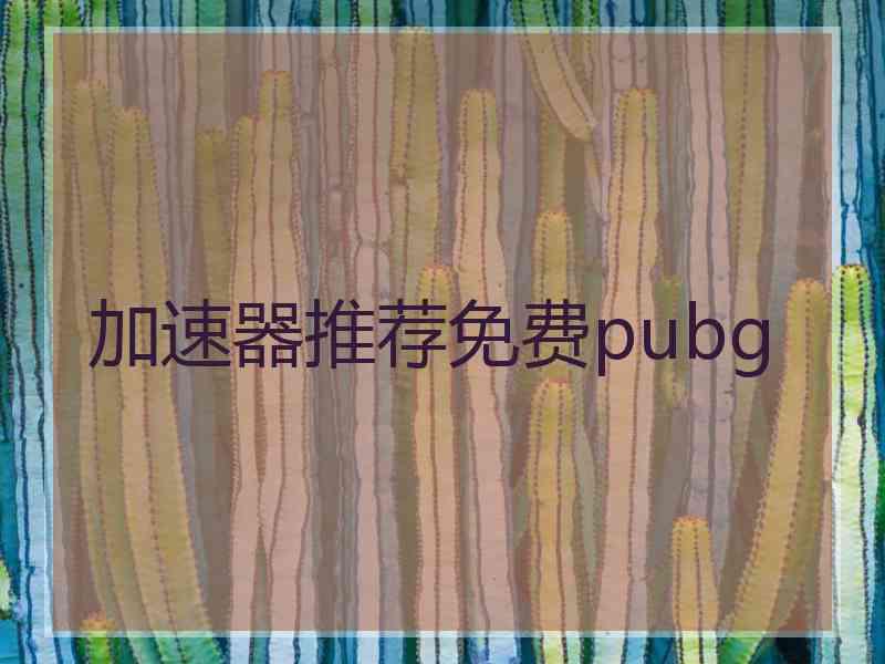 加速器推荐免费pubg
