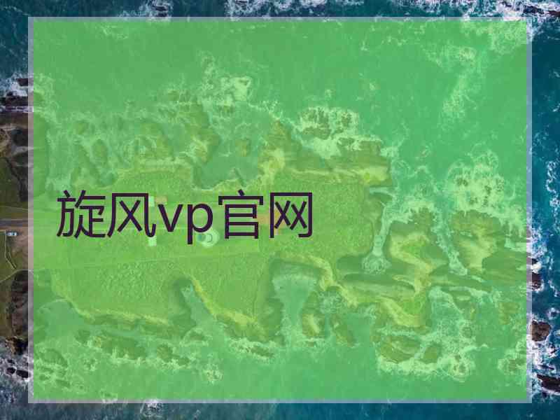 旋风vp官网