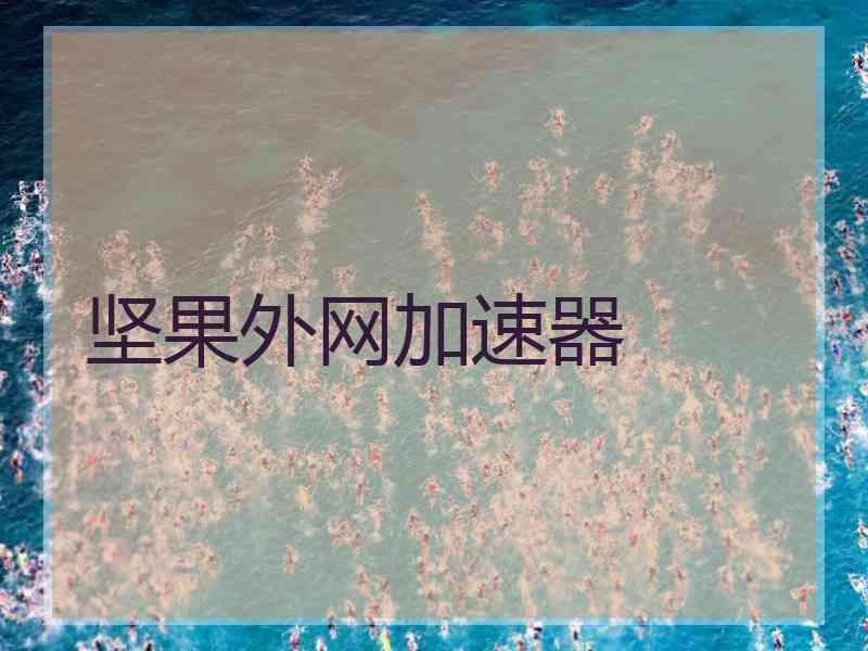 坚果外网加速器