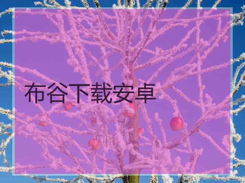 布谷下载安卓