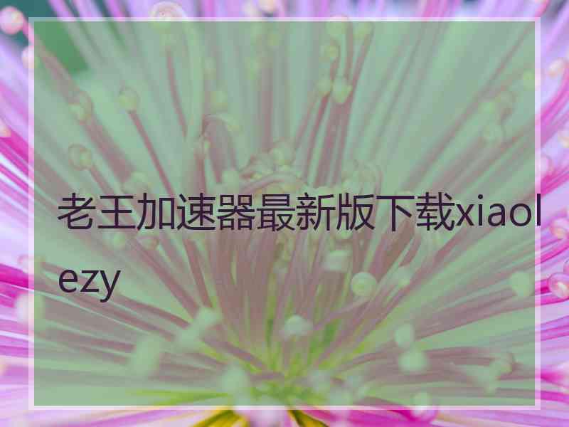 老王加速器最新版下载xiaolezy