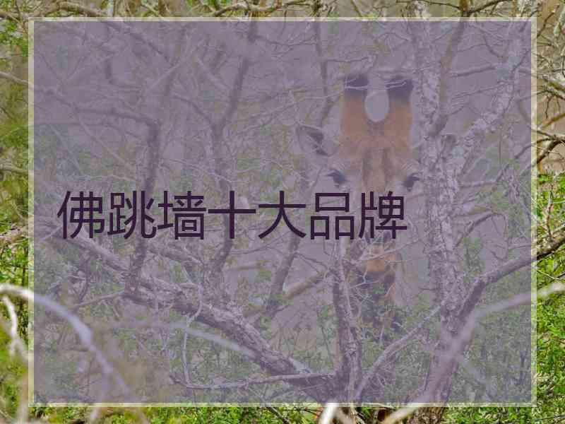 佛跳墙十大品牌