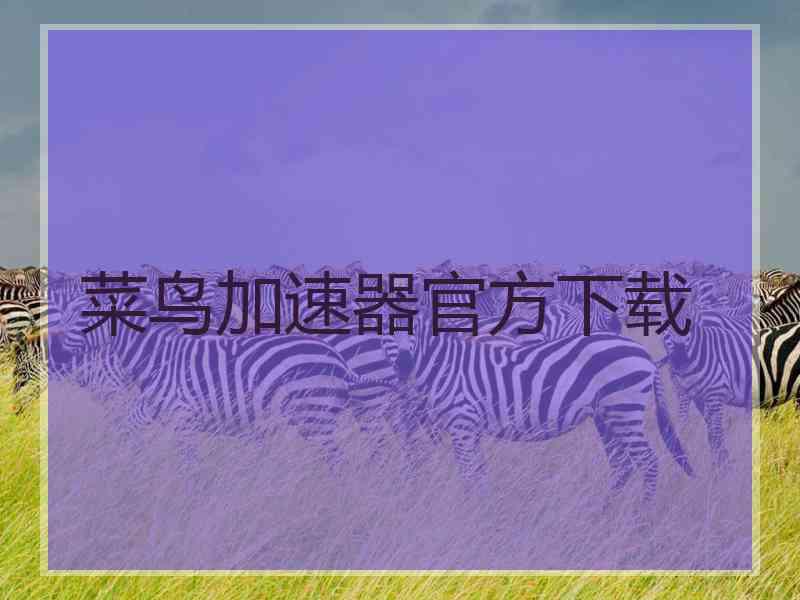 菜鸟加速器官方下载