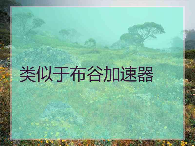 类似于布谷加速器