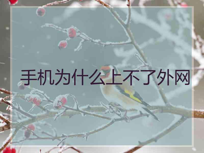 手机为什么上不了外网