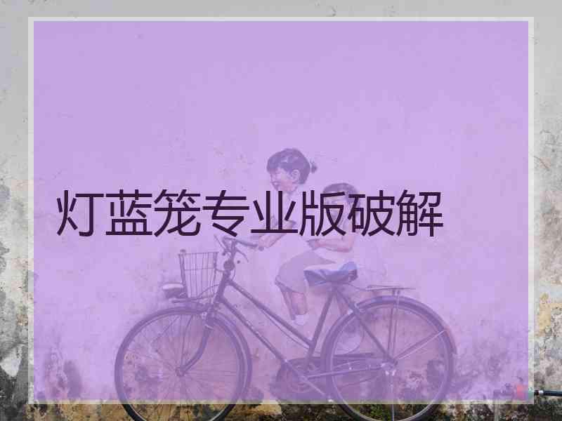 灯蓝笼专业版破解