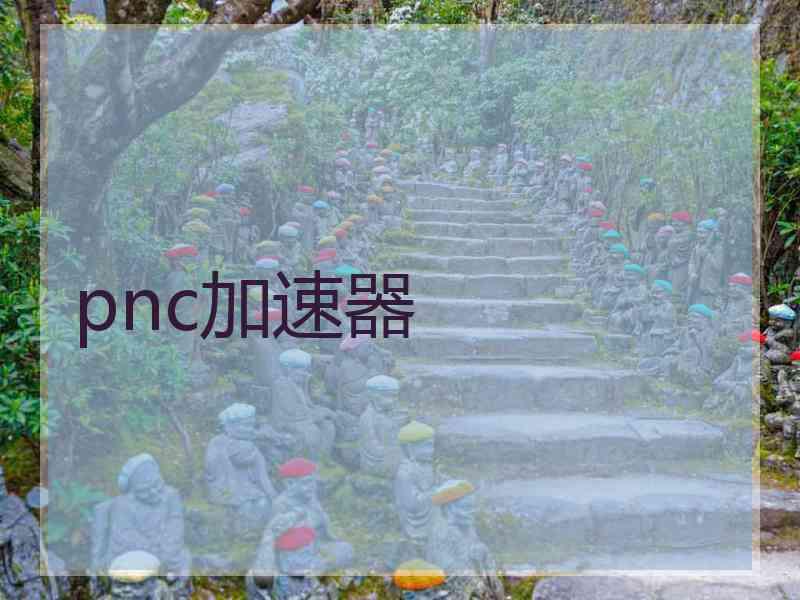 pnc加速器