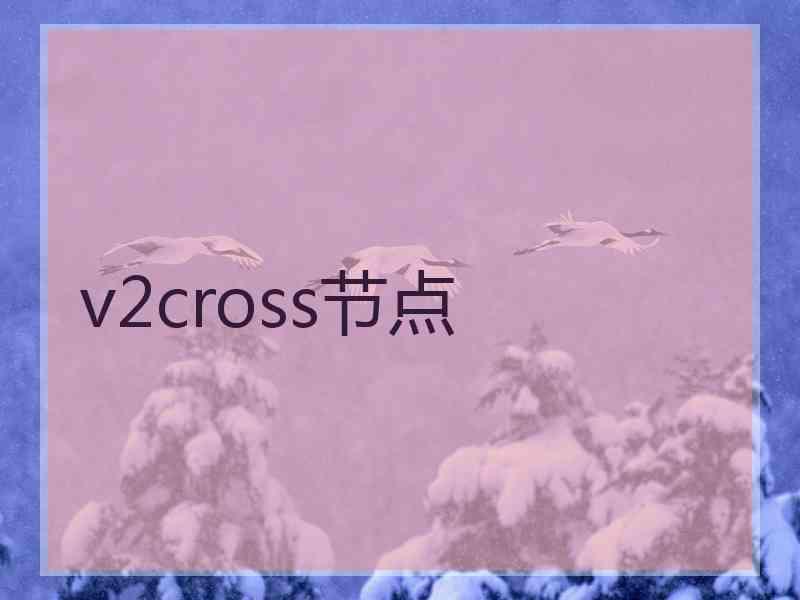 v2cross节点
