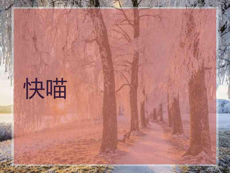 快喵