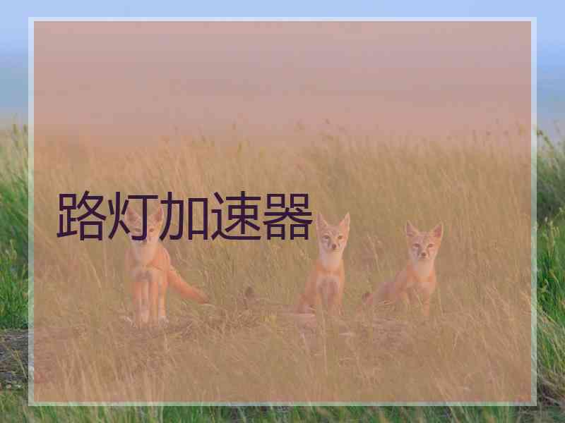 路灯加速器