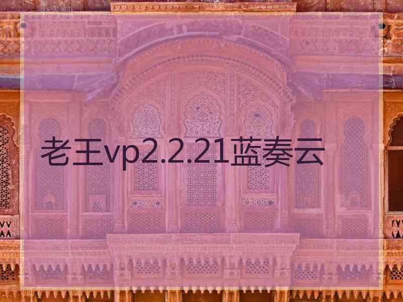 老王vp2.2.21蓝奏云