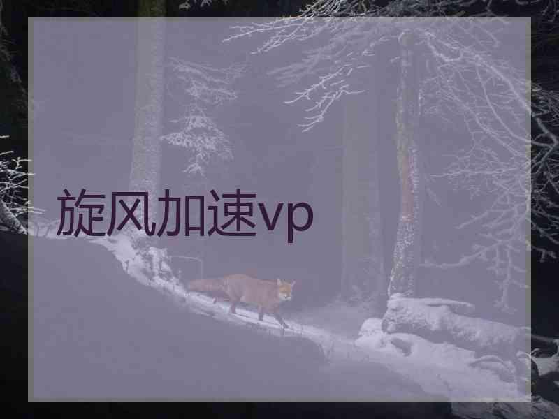 旋风加速vp