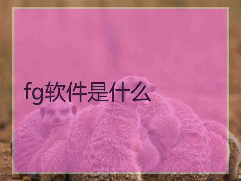 fg软件是什么