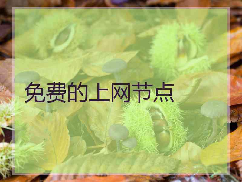 免费的上网节点