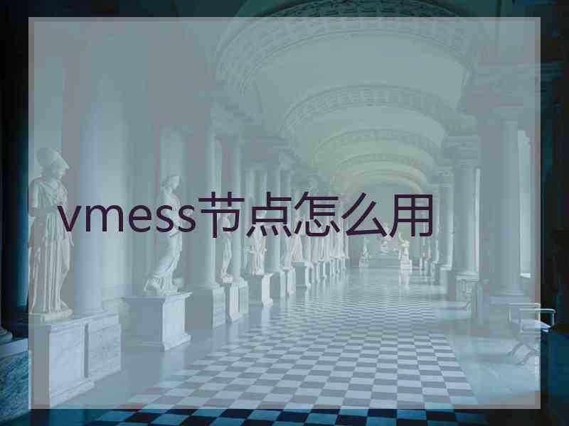 vmess节点怎么用