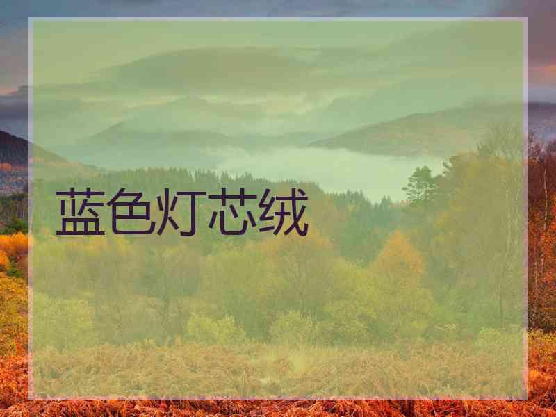 蓝色灯芯绒