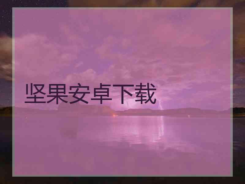 坚果安卓下载