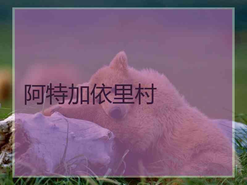 阿特加依里村