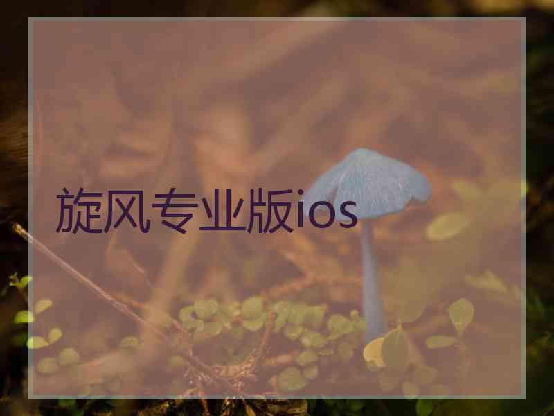 旋风专业版ios