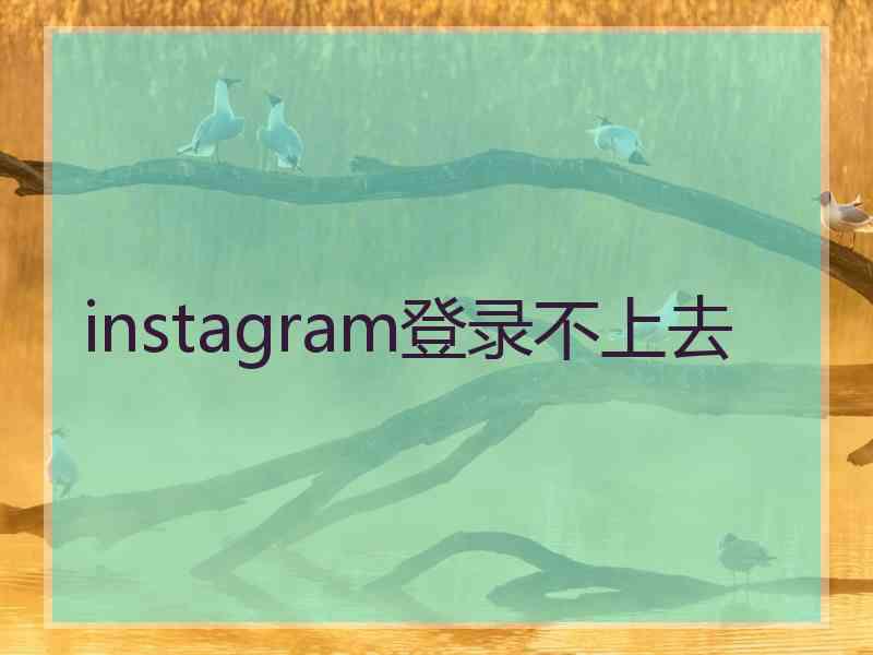 instagram登录不上去