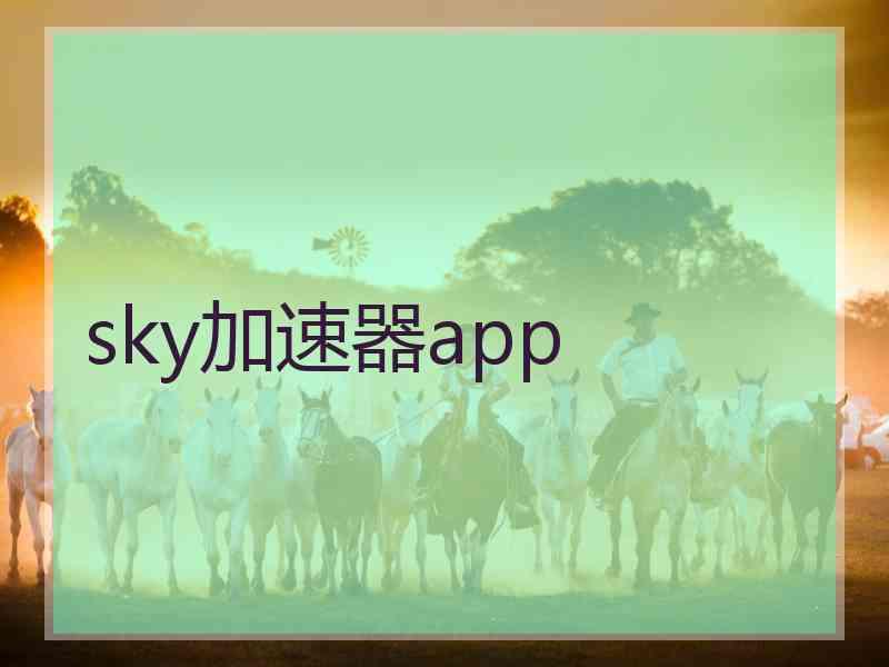 sky加速器app