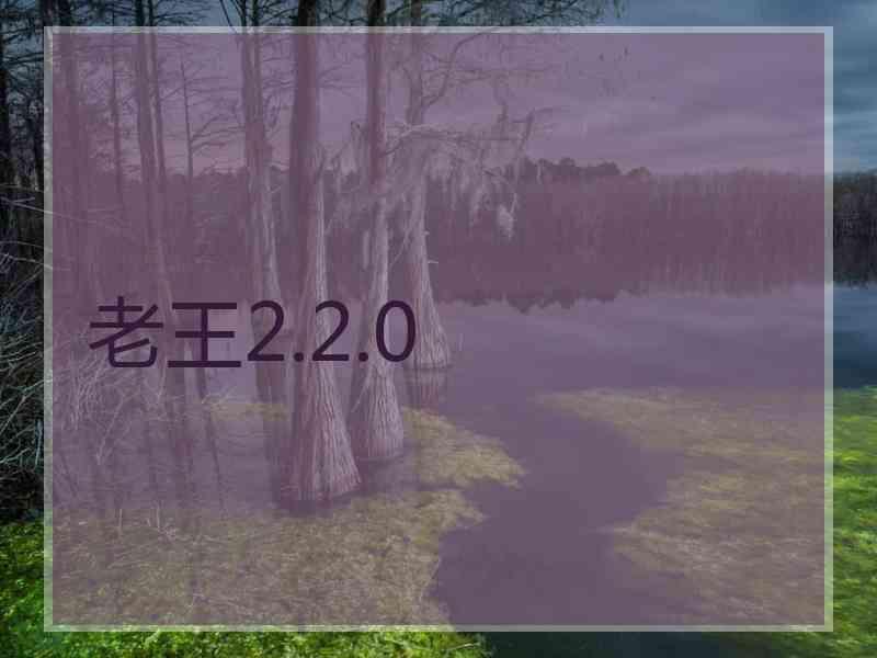 老王2.2.0