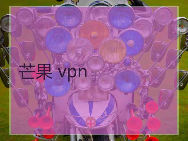 芒果 vpn