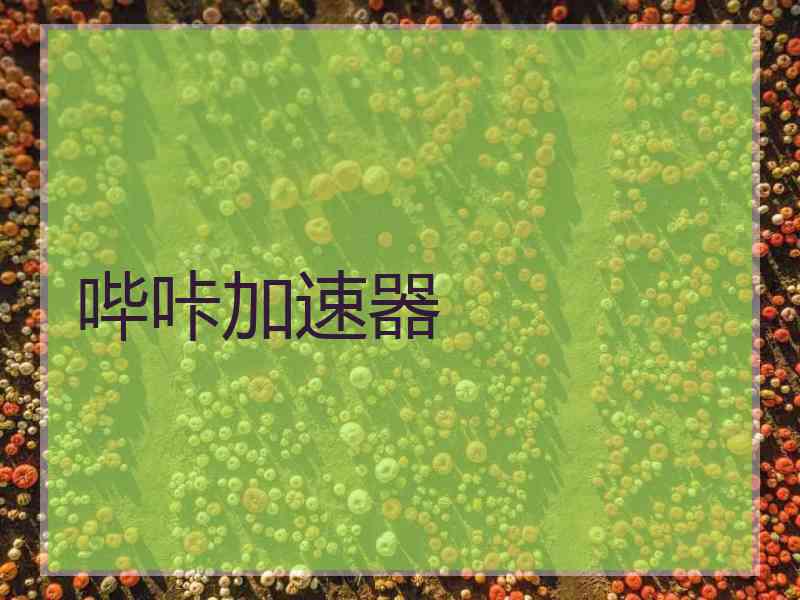 哔咔加速器
