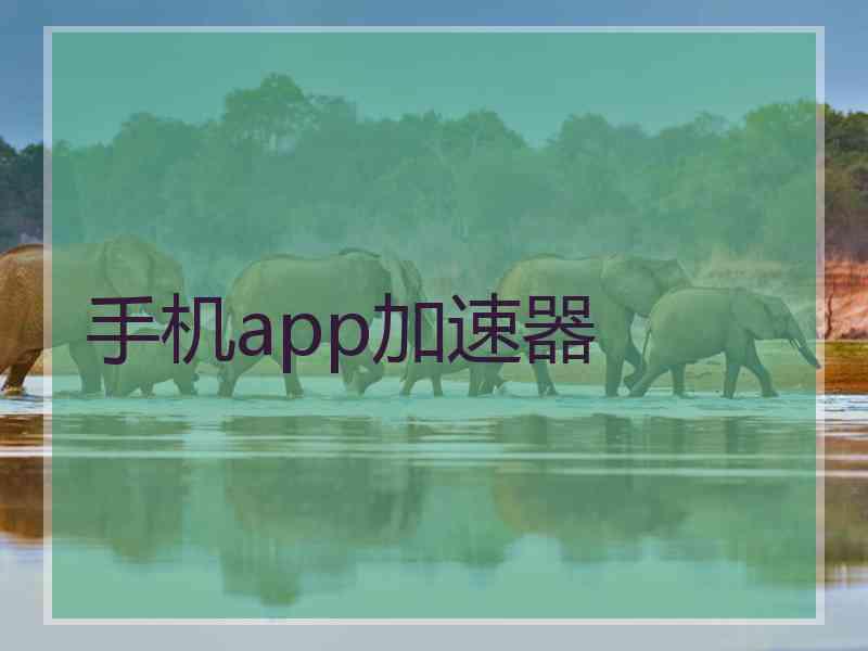 手机app加速器