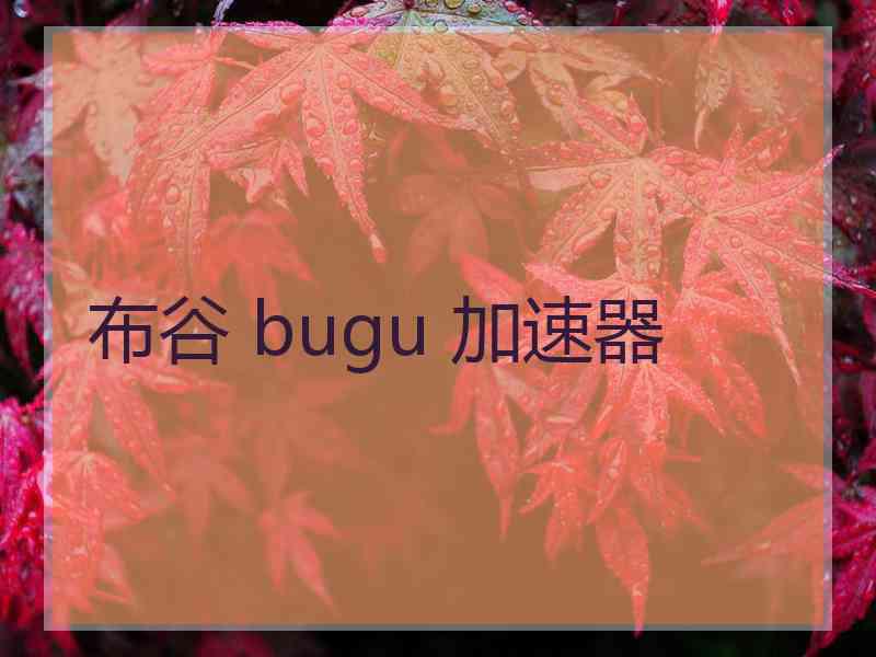 布谷 bugu 加速器