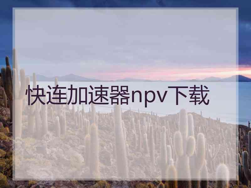 快连加速器npv下载