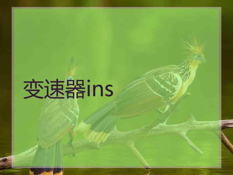 变速器ins