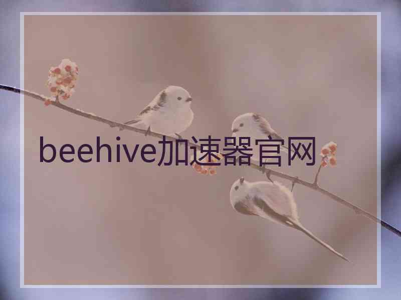 beehive加速器官网