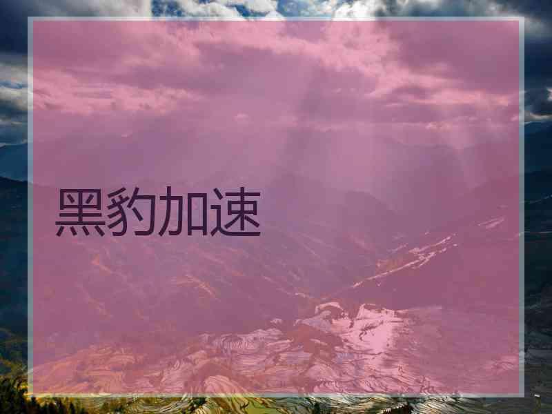 黑豹加速